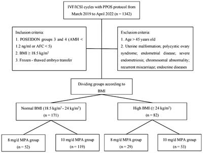 Effect of medroxyprogesterone acetate dose in progestin-primed ovarian stimulation on pregnancy outcomes in poor ovarian response patients with different body mass index levels
